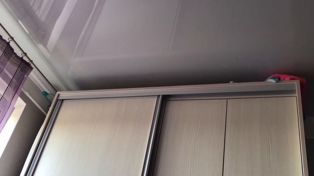 Попугаи корелла. Попугай вместо крысы или как из коробки сделать домик