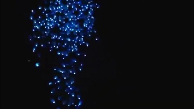 ДОП 012 Светодиодные шары смотреть онлайн