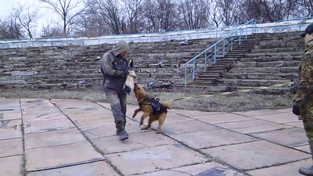 Горловка . эрдель Сильвана .тренинг по защите 28,02,21