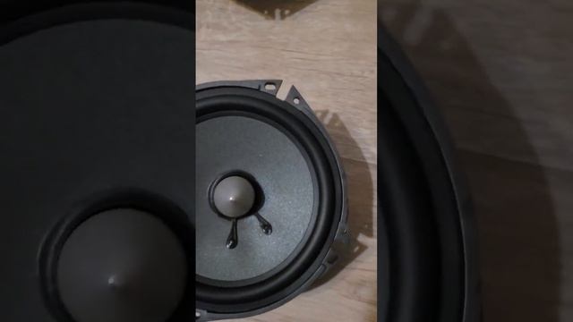 мидбасы Focal Polyglass 165v1