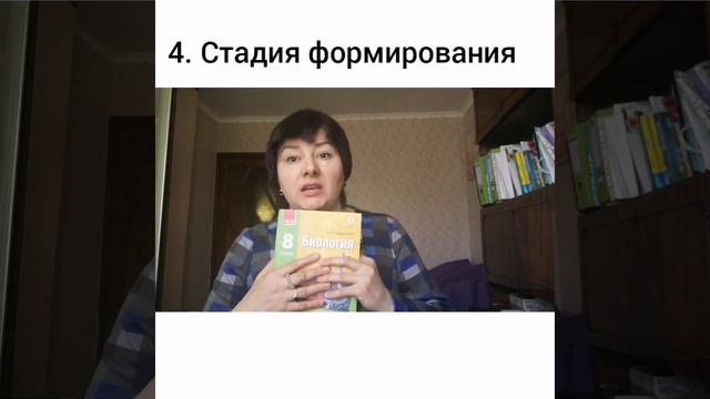 Гаметогенез смотреть онлайн