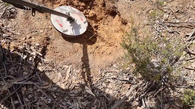 Minelab 7000 NF 12 Coil 9 Gold Nuggets