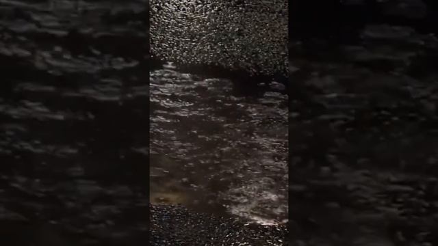 ПРИДЕРЖИ ЛИФТ!!!1 // ADAM W смотреть онлайн