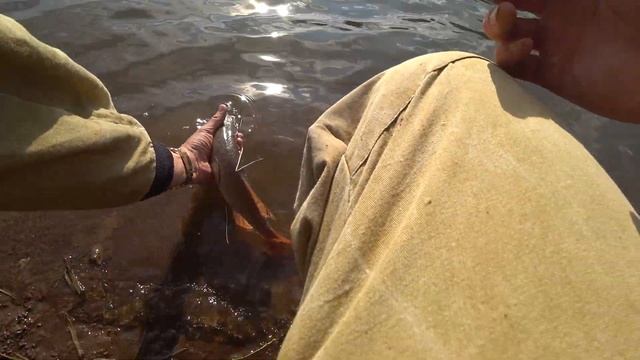 ловим ЩУКУ на реке ЗАЙ, ловля на СПИННИНГ(ДЖИГ) Рыбалка 2021 смотреть онлайн