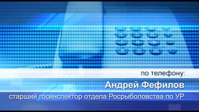 дохлая рыба смотреть онлайн