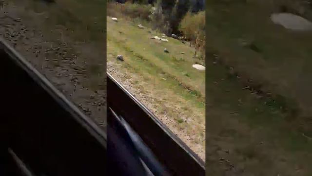 Курорт жети огуз смотреть онлайн