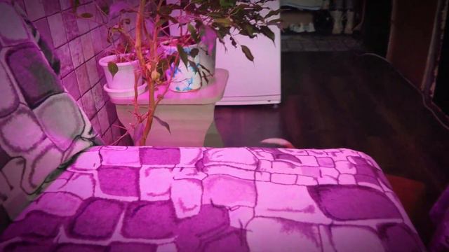 Зайка играет. 5 месяцев и 11 дней смотреть онлайн