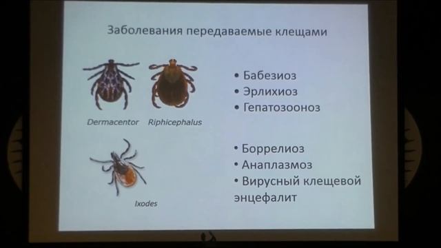 Московский Международный Ветеринарный Конгресс 2015, что было интересного смотреть онлайн