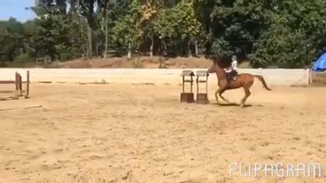 esuhorses.com смотреть онлайн