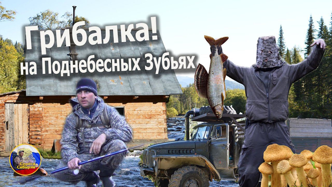 Грибалка на Поднебесных Зубьях! Кузнецкий Алатау!