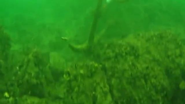 Черное море смотреть онлайн