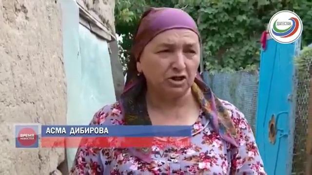 #никто#не#ожидал#сюрприз#в #Дагестане#корова#родила#5# смотреть онлайн
