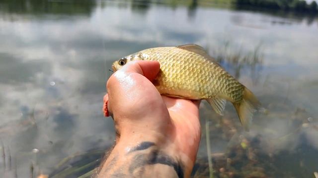 VIP - Рыбалка смотреть онлайн