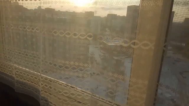 Обморозились пеларгонии. Как спасаю. смотреть онлайн