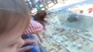 Видео для детей влог ЯРОСЛАВА играет на детской площадке Развлечения для детей Kids Pretend Play