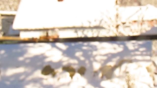 Ловля птиц на западок. смотреть онлайн