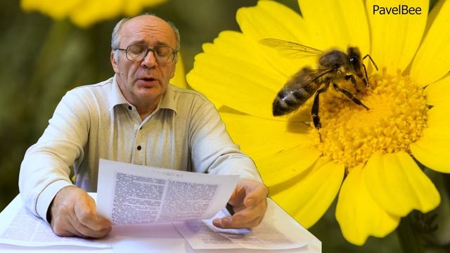 №121 Где Правильно Сделать Леток? | Пчелиные улья | Медосбор | Взяток | Пчеловодство | Пасека смотреть онлайн