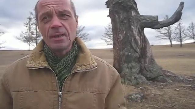 Астрохимик Витольд Звездочкин О Шаманских деревьях на острове Ольхон смотреть онлайн