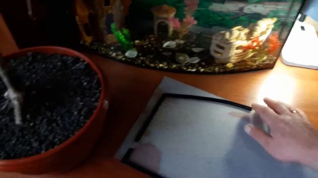 Крышка на аквариум из стекла смотреть онлайн