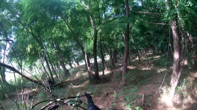 Страйкбол Мартыновка смотреть онлайн