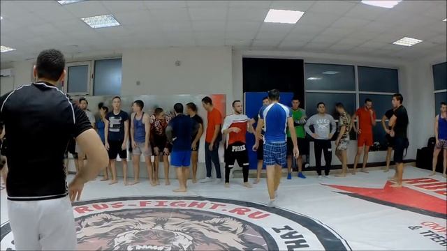 Бои белых воротничков 5 тренировка смотреть онлайн