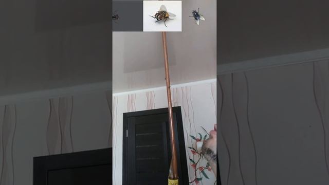 Истребление мух смотреть онлайн