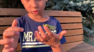 Богомолы кусаются сильно или нет? Укус богомола до крови