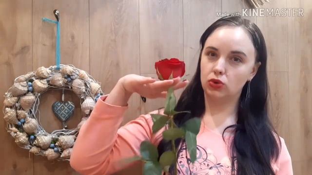 Как сохранить розы смотреть онлайн