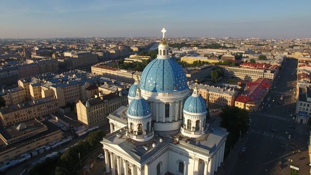 Чайка недовольна