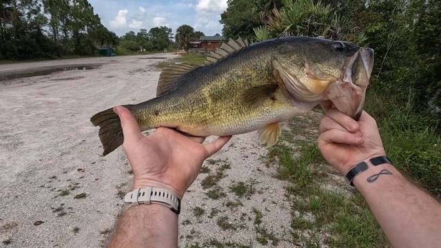 Two Technique To Catch Big Bass | Crazy Hook Sets & Fishing Line Choices смотреть онлайн