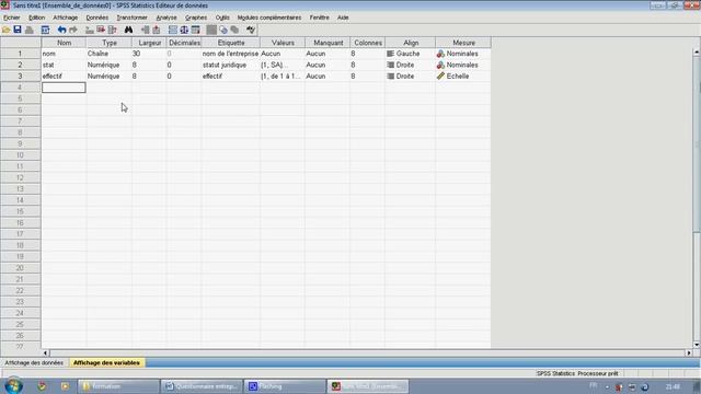 Formation SPSS: Codage et saisie des données смотреть онлайн