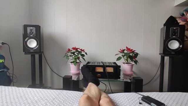 Magnat Signature 903, Yamaha PC2002M, Fiio Q5s (am3d tc) смотреть онлайн