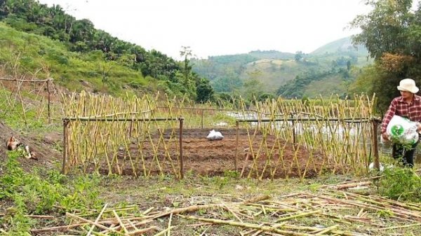 Full Video 1 year of building a life | Build a vegetable garden, raise livestock - Live with nature