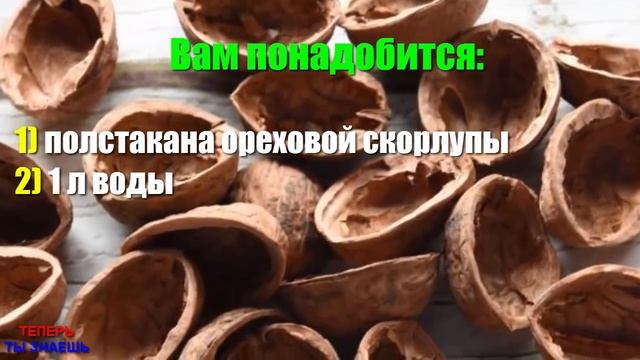 Узнав ЭТО, ВЫ Больше НИКОГДА Не БУДЕТЕ Выбрасывать ОРЕХОВУЮ СКОРЛУПУ...И Вот ПОЧЕМУ... смотреть онлайн