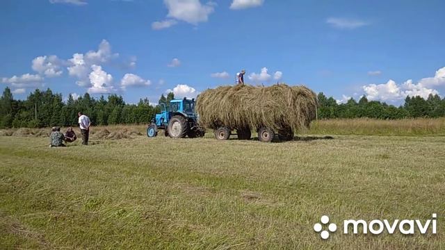 Сена много не бывает. Черника есть. смотреть онлайн