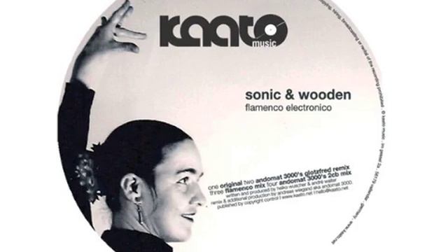 Sonic & Wooden "Flamenco Electronico" - Original Mix смотреть онлайн