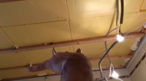 Утепление потолка в частном доме под холодной крышей своими руками