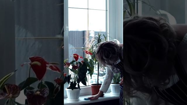 Королева чистоты смотреть онлайн