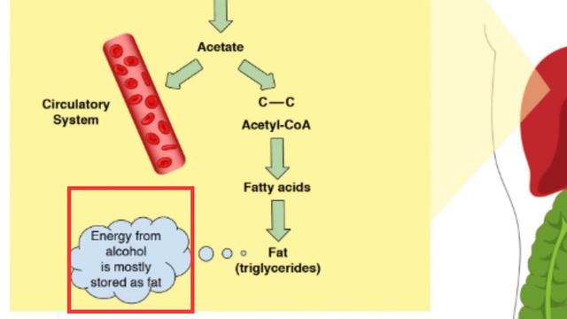 THIS is why KETO DOESN'T WORK смотреть онлайн