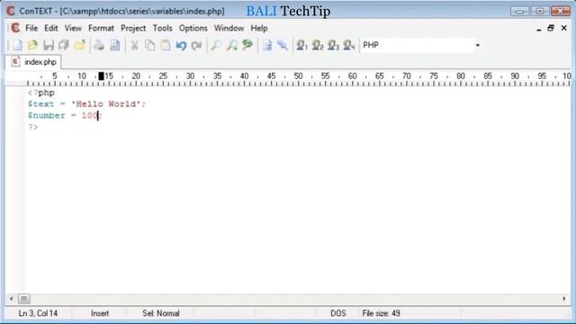 PHP Tutorial 14 - Variables | BTT смотреть онлайн