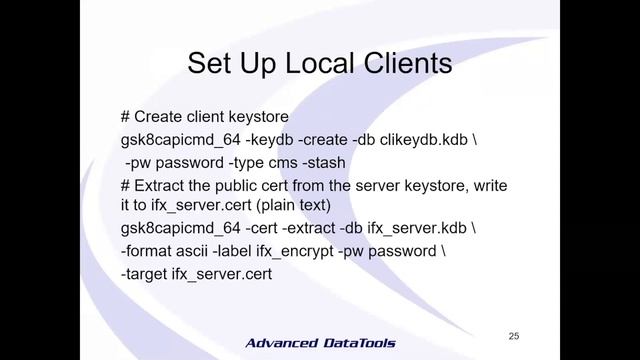 Informix Client Server Encryption by Thomas Beebe смотреть онлайн