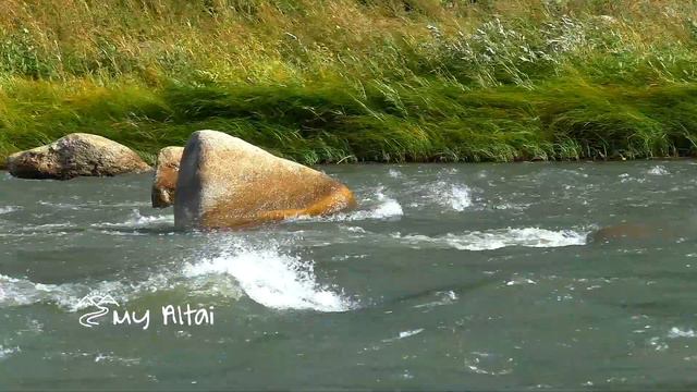 река Песчаная урочище Щеки