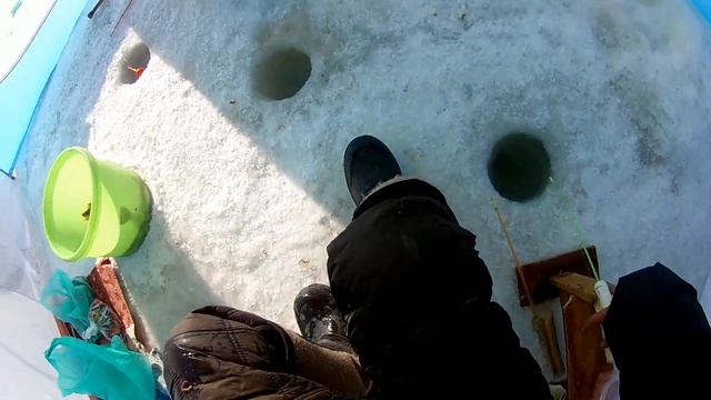 Рыбалка на песчаном,южная сторона,ловля наваги Приморский край 2020 смотреть онлайн