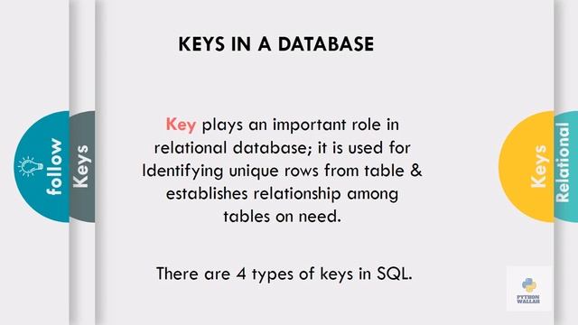 Database Concepts Class 11 part 2| Python wallah | pdf notes смотреть онлайн