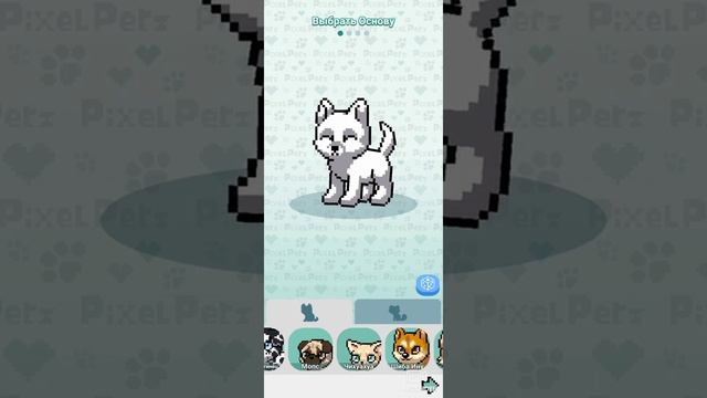 Pixel petz \Помощь новичкам в пиксель петз\ Помощь начинающим игрокам в pixel petz /1 часть смотреть онлайн