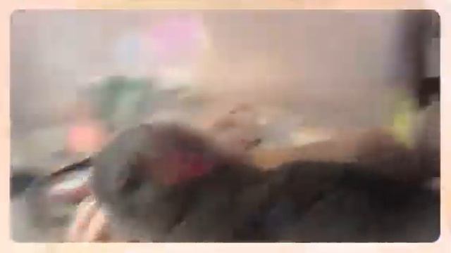 Cat (Created with Magisto) смотреть онлайн