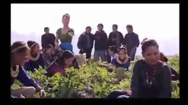 Ram Bahadur Dhurva Gurung -Ghar ta Haibung Majuwa/घर त हैवुङ मजुवा Official video смотреть онлайн