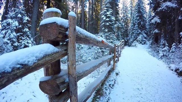 GoPro - Avventure del weekend - Lago di Carezza (Dolomiti) - VLOG 12 смотреть онлайн