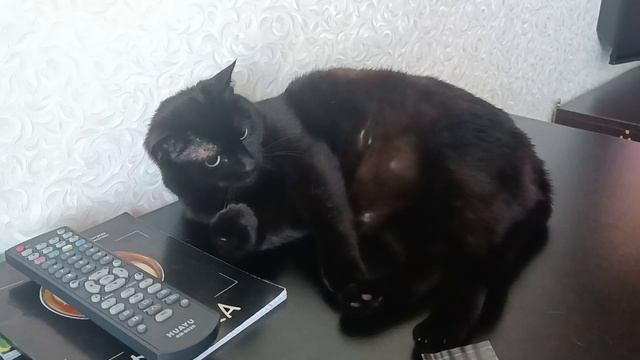 Девочка смотреть онлайн