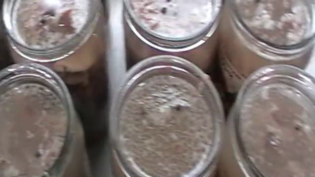 холодец длительного хранения. смотреть онлайн